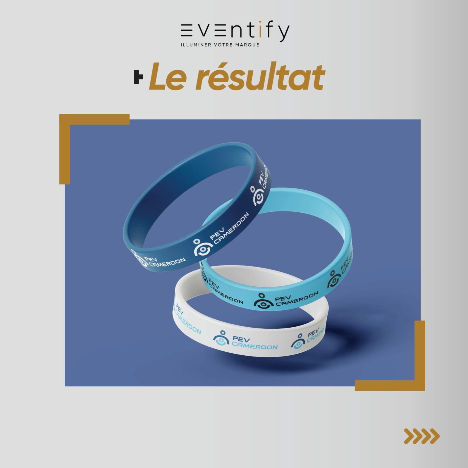 PEV Réalisation